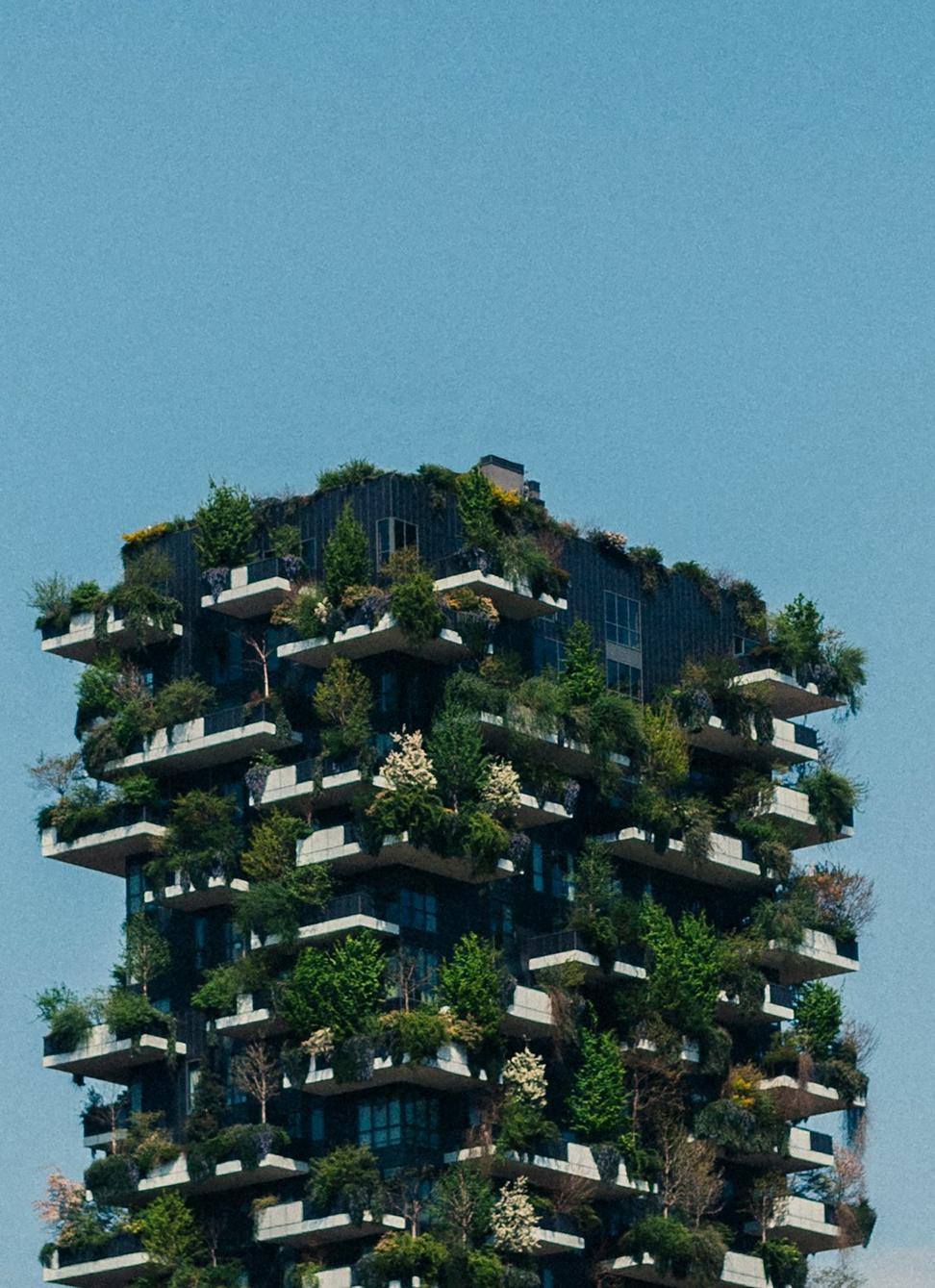 Eco Terraces
