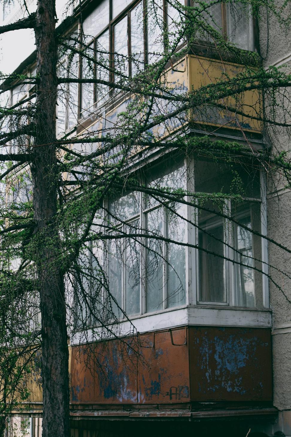 Before Renovation