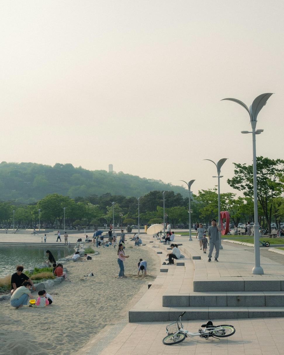 Rosedale Park Revitalization